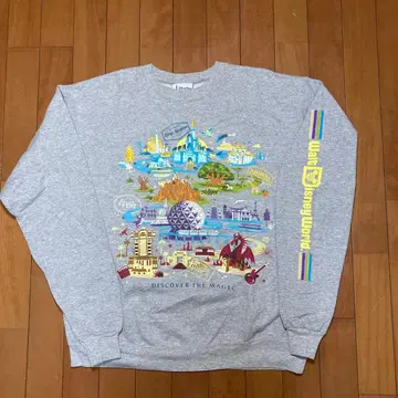 디즈니 헤인즈 맨투맨 월트디즈니 Disney Hanes