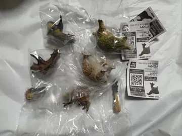 생물대도감 쁘띠 공룡 03