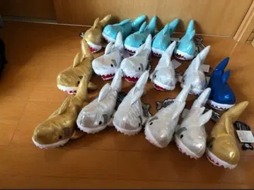 반짝반짝 메가로돈