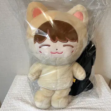 nct127 재현 40cm 봉제 인형 마스터 인형 다님