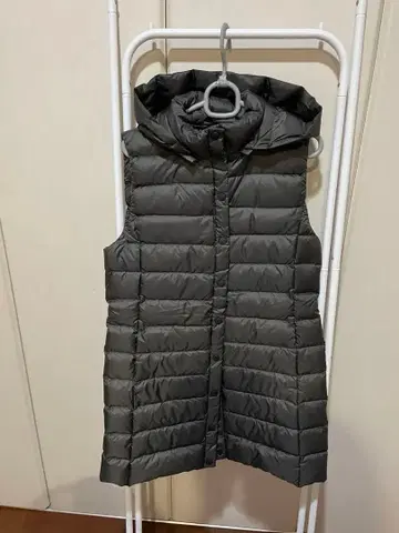 골든 베어 다운 베스트