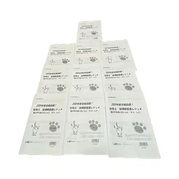 2025년 사노사 LEC 텍스트 레쥬메 법 이해 요점 정리