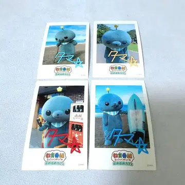 교육 방송 폴라로이드풍 스티커 타마 호메호메 카페