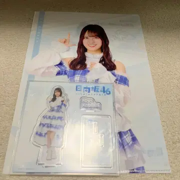 히나타자카46 제일복권 아크릴 스탠드/클리어 파일 코사카 나오
