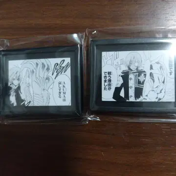 D.gray-man 코마코레 마그넷 리나리 애니메이트 페어