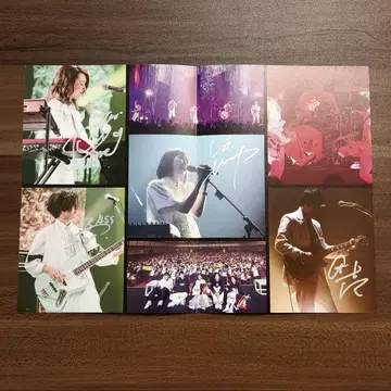 [ 친필 사인 포함 ] 그린옐로우 컬러 오리지널 책자