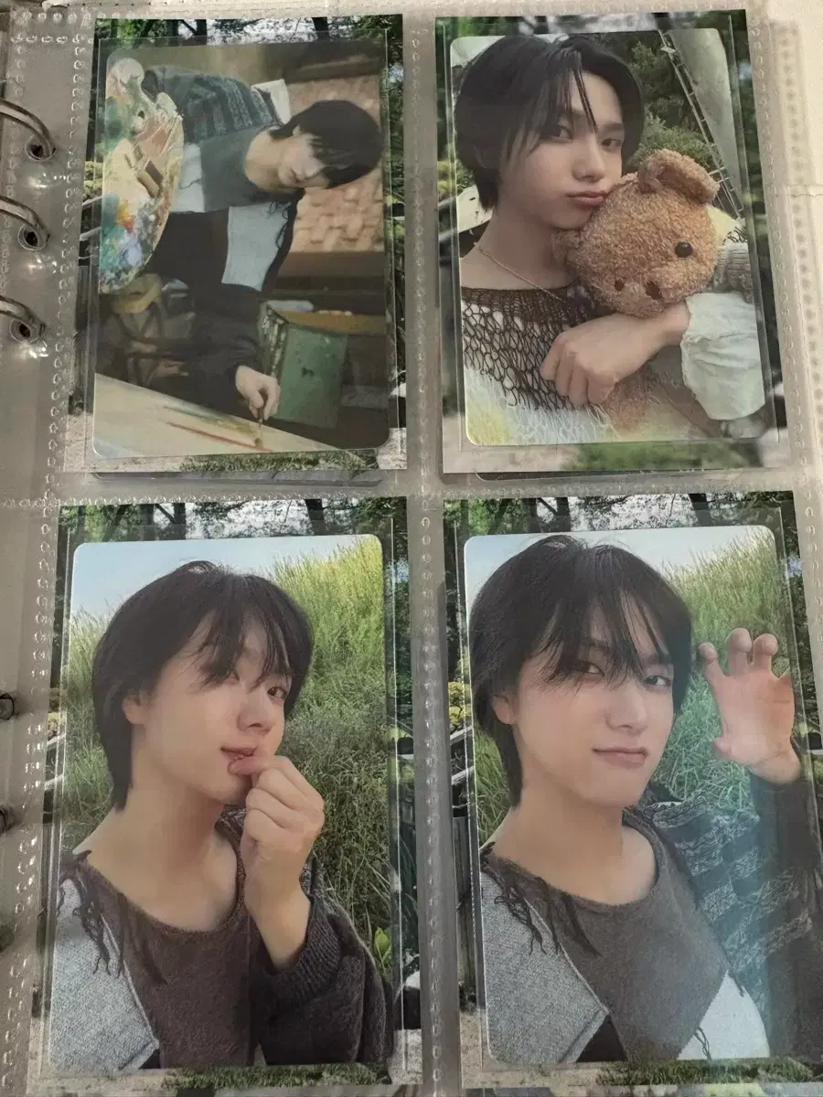 boynextdoor WHY sungho poca bulk wts