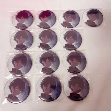 프로세카 호시노 이치카 그리캔 글리터 캔 배지 42A 13개