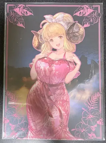 그랑블루 판타지 십이지신 의상 갈아입기 클리어 파일 아니라