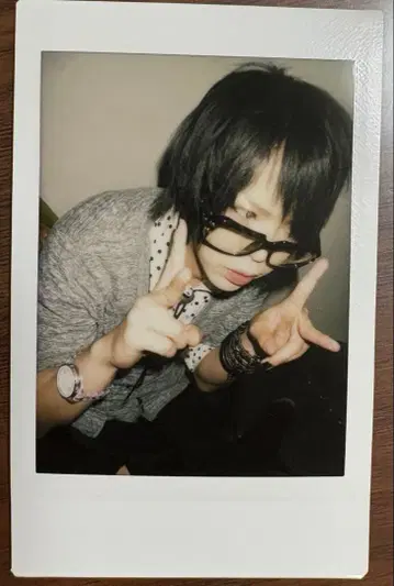 R 지정 마모 폴라로이드