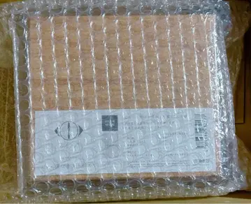 그래서 나는 음악을 그만두었다 초회 생산 한정판 요루시카