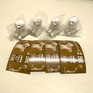 굼벵이 2 비숑 프리제 4마리