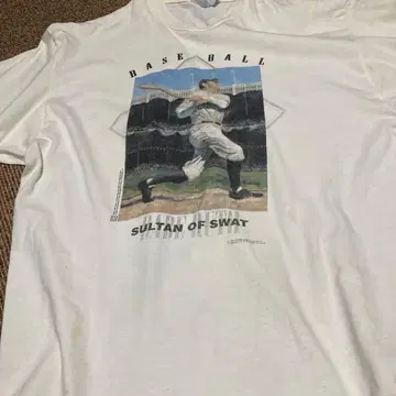 Hanes Beefy 페이 블루스 T셔츠 L 사이즈