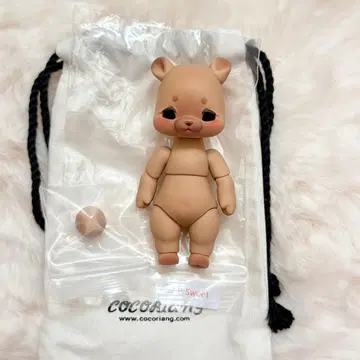 코코리앙 콰이어 포이 브라운 포이