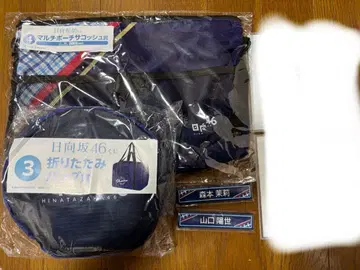 히나타자카46 복권 접이식 백 사코슈 아크릴 스탠드