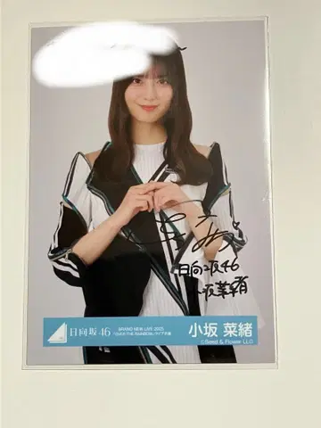 코사카 나오 히나타자카46 BRAND NEW LIVE 2025 친필 사인