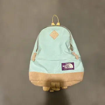 THE NORTH FACE 민트 그린 계열 백팩