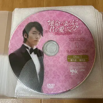 운명처럼 널 사랑해 DVD-BOX