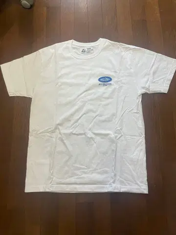 CHALLENGER T셔츠 L