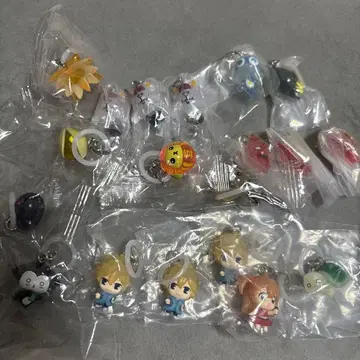 메지루시 참 19개