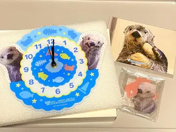 카푸쿠지 x 토바 수족관 메이짱&키라짱 3종 세트