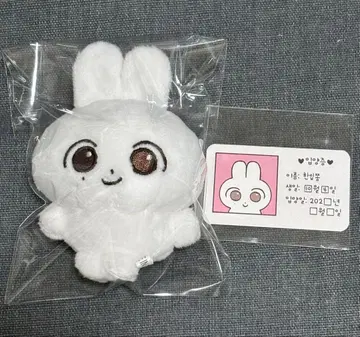 SEVENTEEN 정한 봉제 인형 마스터