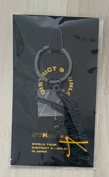 스키즈 Stray Kids 굿즈 키링 District 9