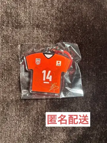 배구 남자 일본 대표 메지루시 참 이시카와 유키 선수