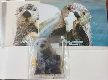 카프쿠지 랏코의 메이짱 복권 E상 브로마이드 아크릴 세트 토바 수족관