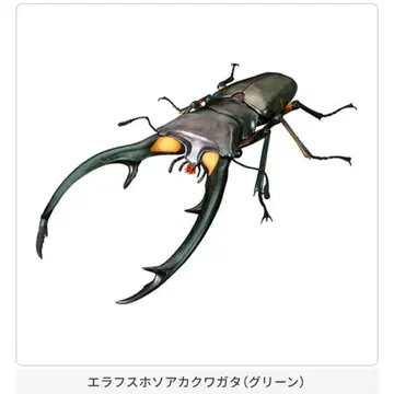 생물대도감 어드밴스 사슴벌레02 에라프스호소아카사슴벌레 (그린)