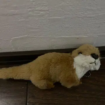 수달 브라운 봉제 인형