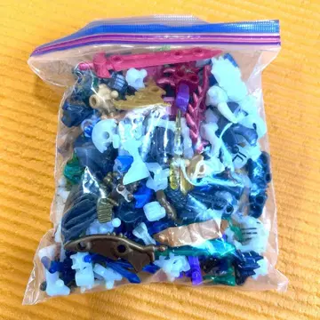 호네호네 자우르스 묶음 판매