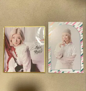 후지요시 카린 사인 포함 색지 사쿠라자카 카페 엽서