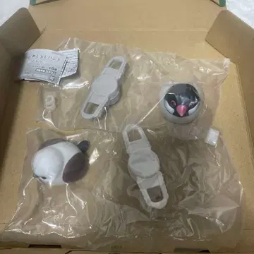 소프트 비닐 메지루시 밴딩 새 시마연가와 금화조 2개 세트