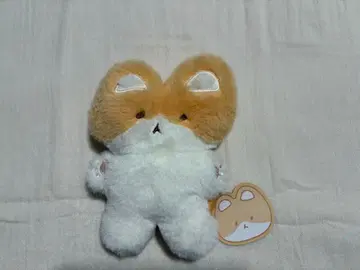 백현 트레기 마그넷