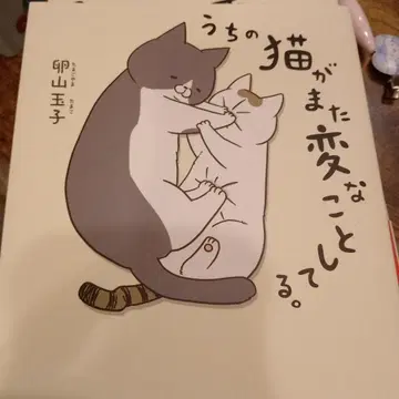 우리 고양이가 또 이상한 짓을 해. 1~5권 세트