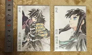 귀멸의 칼날 기둥전 기둥 패