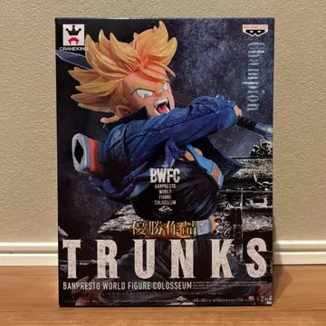 [ 미개봉 새상품 ] BWFC 트렁크