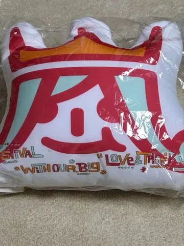 아라시 아라시페스 2013 쿠션