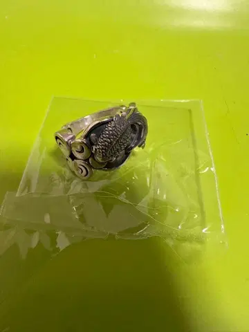 카스우 공방 금붕어