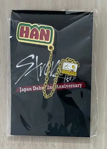스키즈 Straykids HAN 체인 포함 핀즈