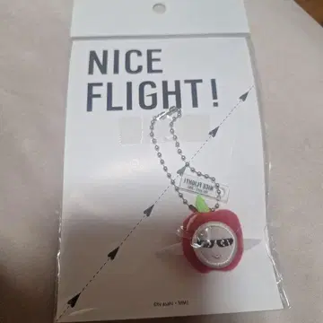 토부린 마스코트 NICE FLIGHT!
