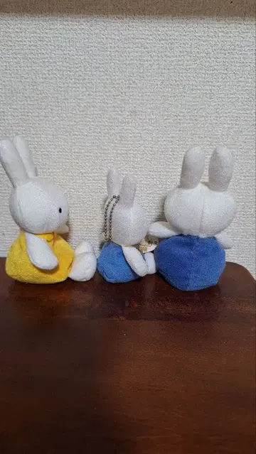 미피 저금통 봉제 인형 3개 세트