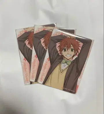 트레이딩 카드 blooming party 혜택