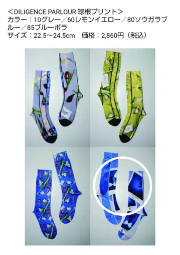 미사용품 Tabio x 디리젠스 파를라 콜라보 양말 블루 포라