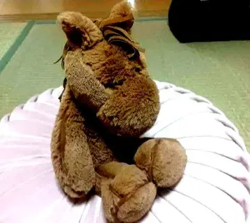 jellycat 봉제 인형