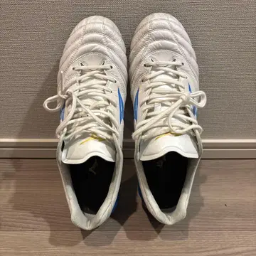 모나르시다 네오 3 엘리트