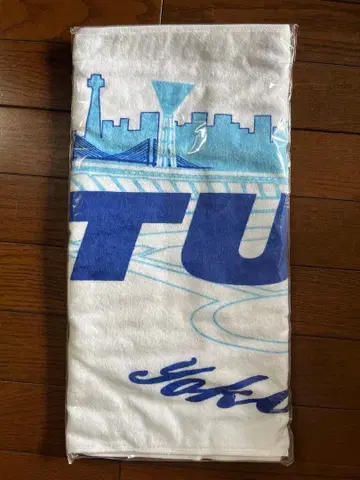 TUBE LIVE AROUND SPECIAL 2019 타월