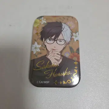 WIND.BREAKER 윈블 사쿠라 하루카 glasses 캔뱃지