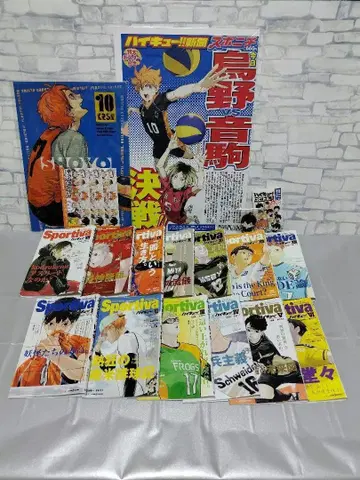 하이큐 굿즈 19개 세트